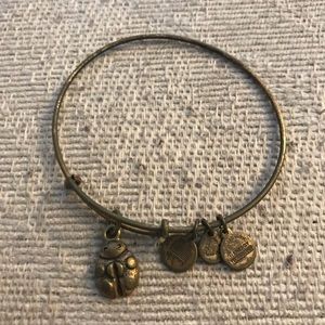 Alex and Ani Ladybug Bracelet